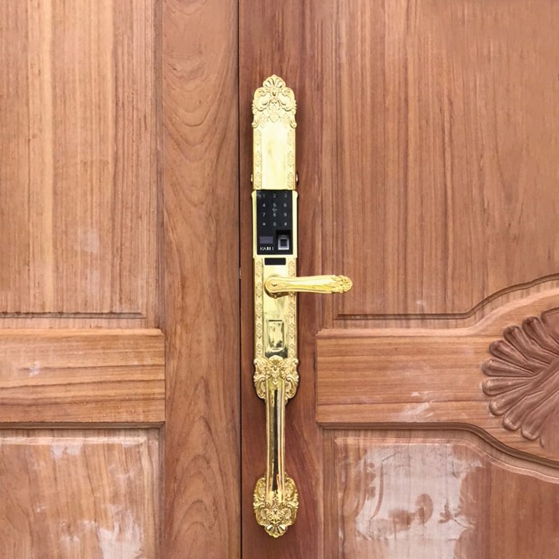 khoa-dai-sanh-vang-ds101 Lắp Khóa Vân Tay Cho Cửa Gỗ