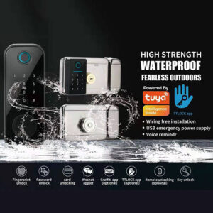 khoa-thong-minh-cua-cong